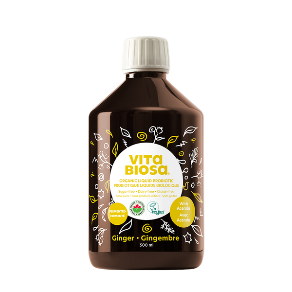 Vita Biosa Ginger 500ml