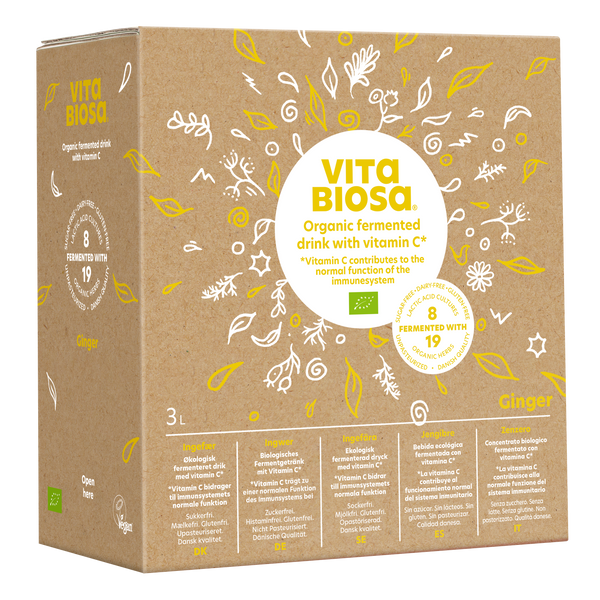 Vita Biosa Ginger 3 Litre